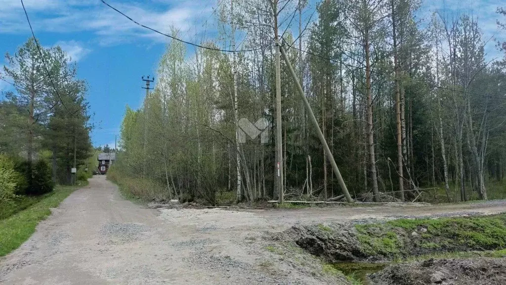 Участок в Ленинградская область, Приозерский район, Ларионовское ... - Фото 2
