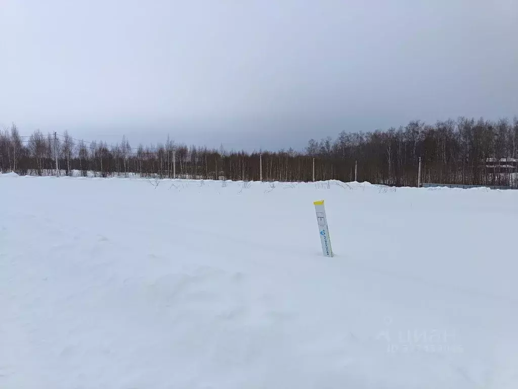 Участок, 6 сот., сельхоз (снт или днп) - Фото 1