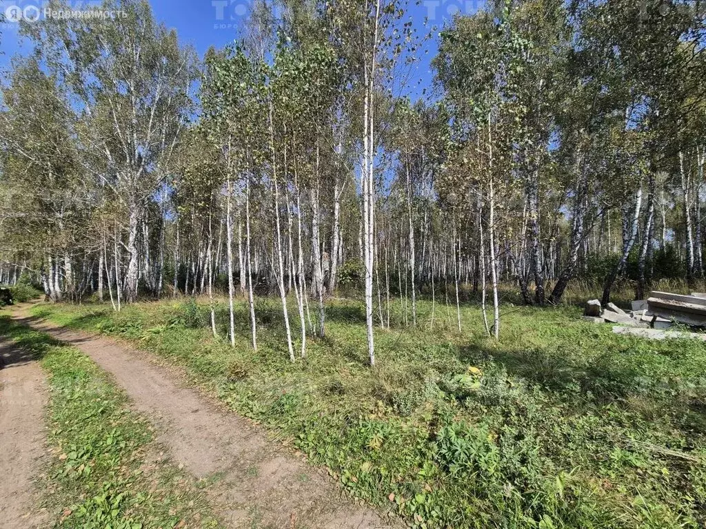 Участок в Чебаркуль, улица Татищева (15.95 м) - Фото 1