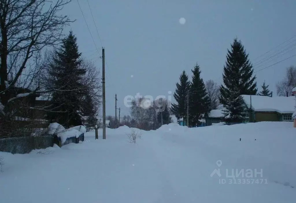 Участок в Нижегородская область, Богородский муниципальный округ, д. ... - Фото 1