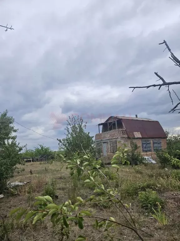 Участок в Ростовская область, Новочеркасск № 16 садовое товарищество, ... - Фото 1