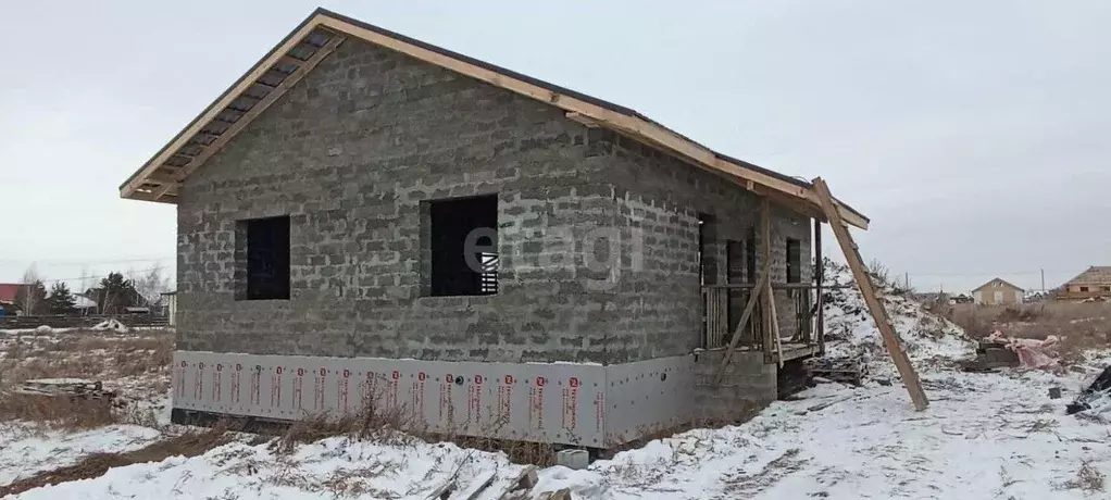 Дом в Омская область, Омский район, с. Дружино, Александровская ... - Фото 1