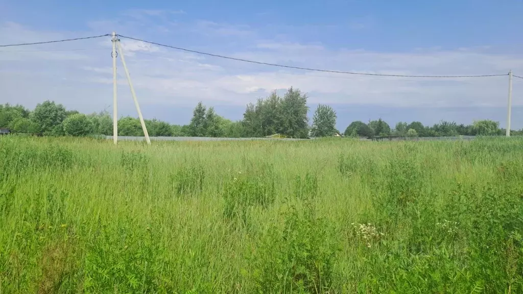 Участок в Московская область, Воскресенск городской округ, д. ... - Фото 1