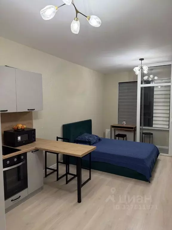 Студия Санкт-Петербург Планерная ул., 87к1 (26.5 м) - Фото 2