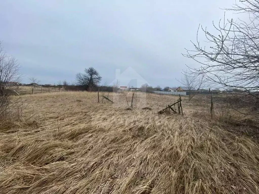 Участок в Воронежская область, Рамонский район, Комсомольское с/пос, ... - Фото 1
