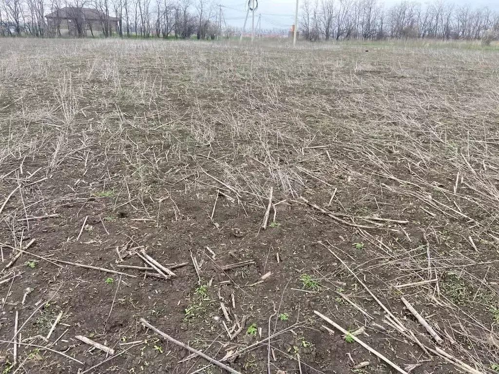 Участок в Ростовская область, Мясниковский район, с. Большие Салы ул. ... - Фото 2
