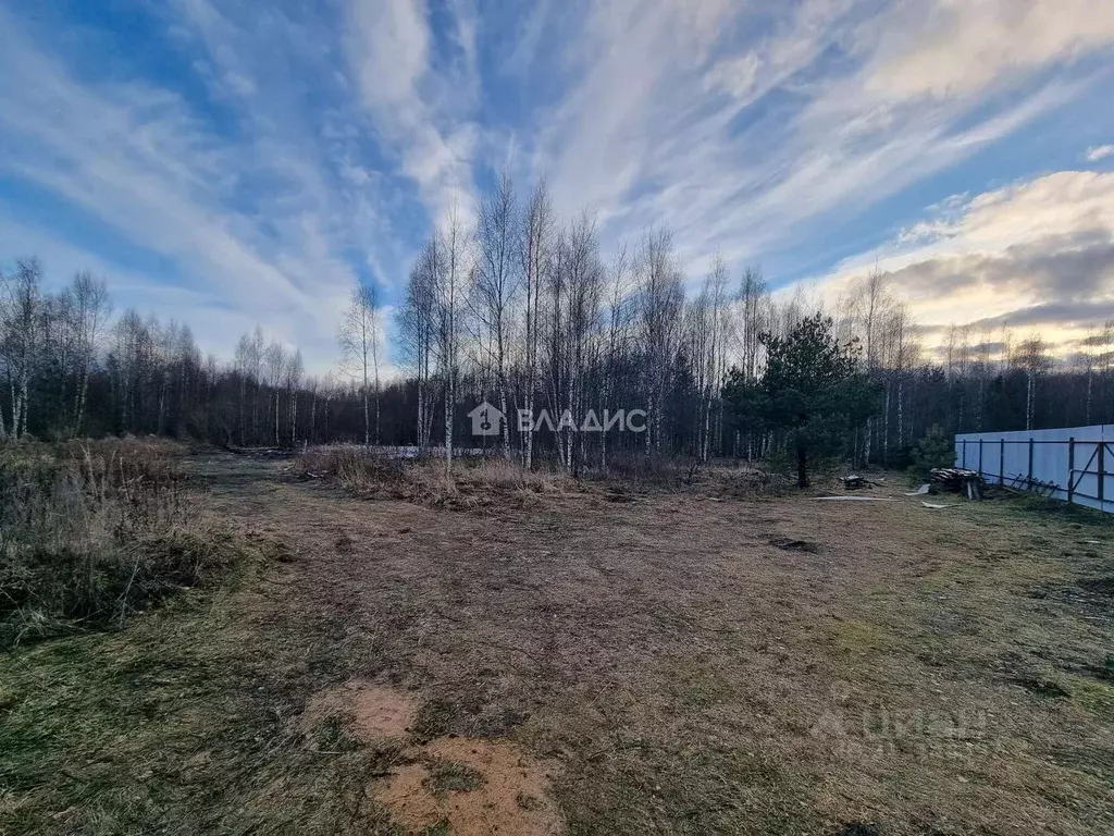 Участок в Владимирская область, Владимир Лунево мкр,  (10.55 сот.) - Фото 1