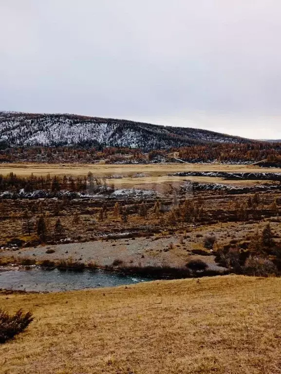 Участок в Алтай, Кош-Агачский район, Джазаторское с/пос, с. Беляши  ... - Фото 1