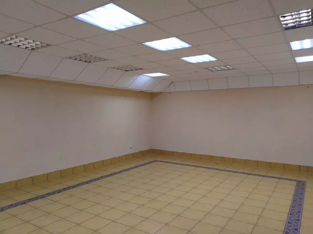 Помещение свободного назначения в Новосибирская область, Новосибирск ... - Фото 1