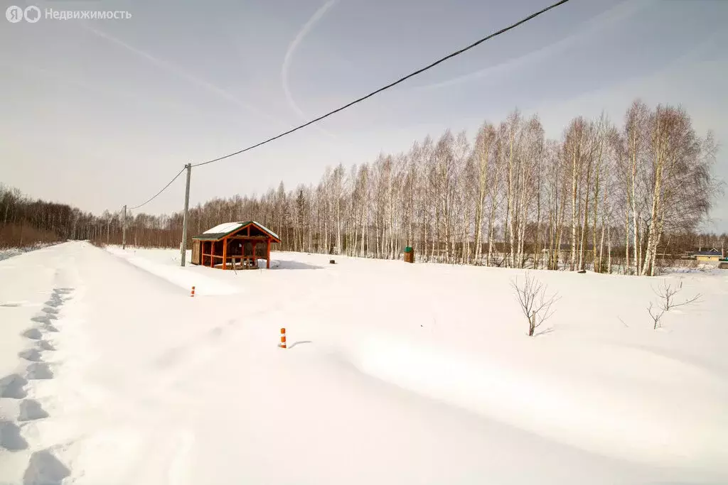 Участок в Нижегородская область, Городецкий муниципальный округ, ... - Фото 0