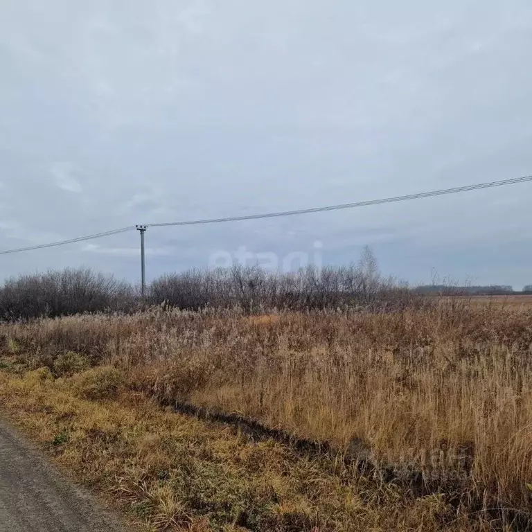 Участок в Тюменская область, с. Исетское ул. Сибирская (25.56 сот.) - Фото 2