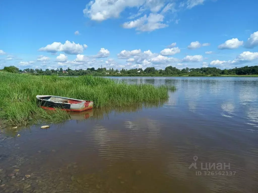 Участок в Новгородская область, Новгородский район, Трубичинское ... - Фото 1