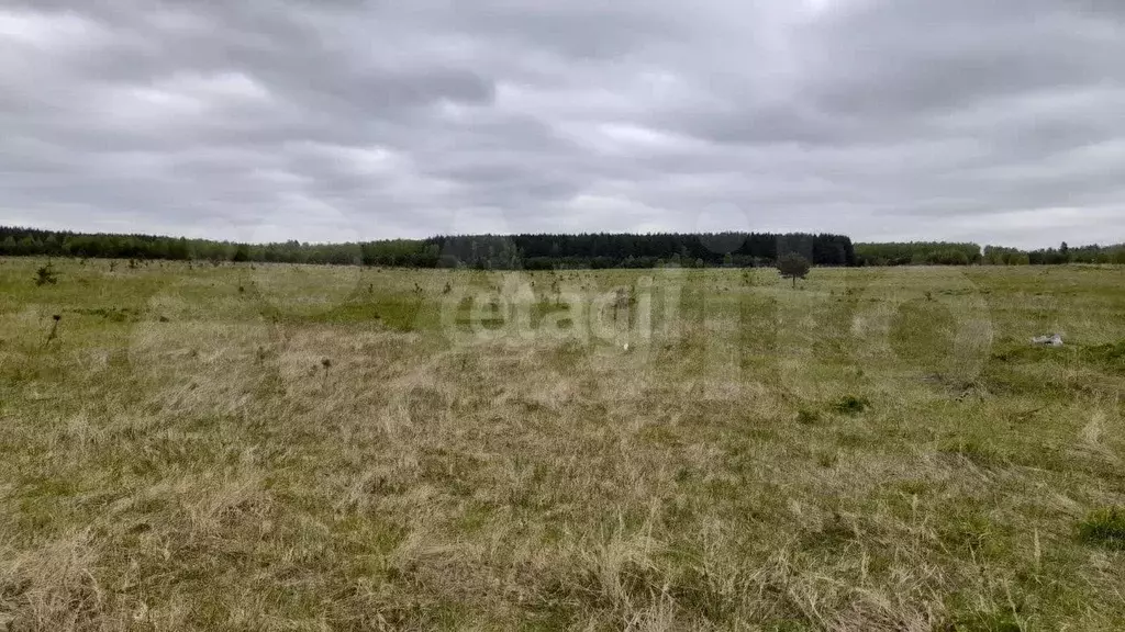 Участок 50,1 сот. (СНТ, ДНП) - Фото 0