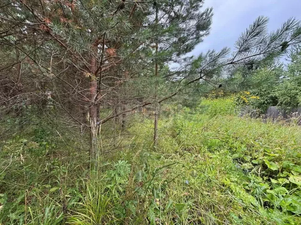 Участок в Кировская область, Киров городской округ, с. Порошино  (11.0 ... - Фото 1