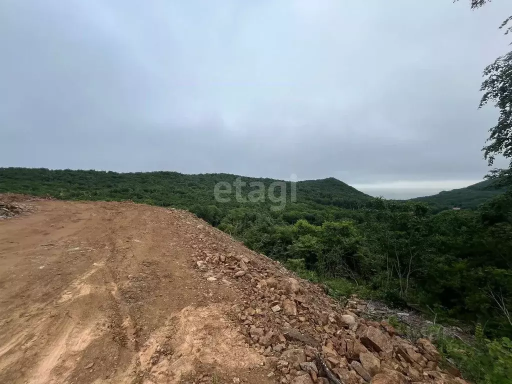 Участок в Приморский край, Владивосток Пионер садоводческое ... - Фото 1