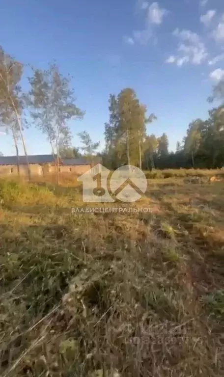 Участок в Новосибирская область, Новосибирский район, Морской ... - Фото 2