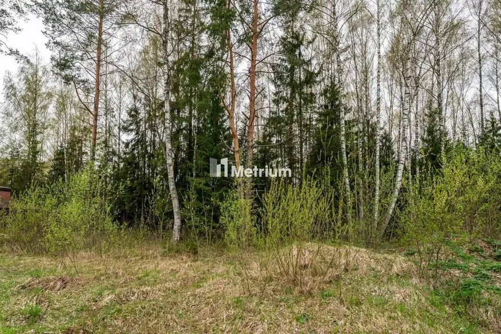 Участок в Тверская область, Конаково Пригородная ул. (20.04 сот.) - Фото 0