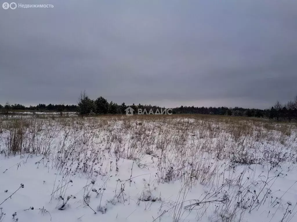 Участок в городской округ Владимир, деревня Уварово (7.43 м) - Фото 1