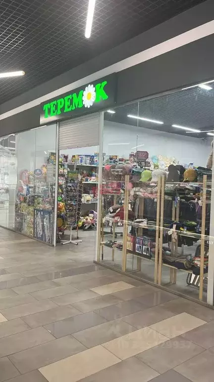 Торговая площадь в Пензенская область, Пенза ул. Кижеватова (55 м) - Фото 1