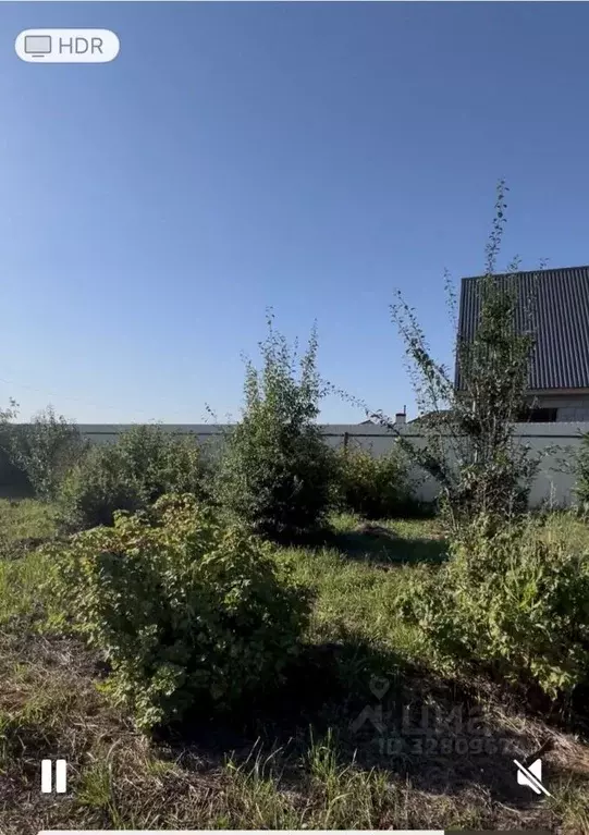 Участок в Татарстан, Лаишевский район, Никольское с/пос, д. Пиголи  ... - Фото 2