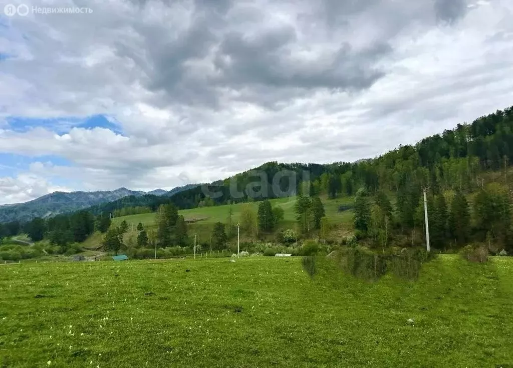 Участок в Чемальский район, Узнезинское сельское поселение, село ... - Фото 2