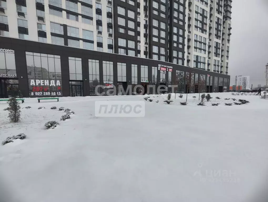 Офис в Пензенская область, Пенза ул. Лозицкой, 1 (64 м) - Фото 1