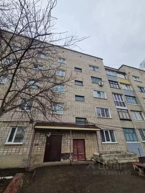 2-к кв. Алтайский край, Рубцовск просп. Ленина, 245 (48.0 м) - Фото 1