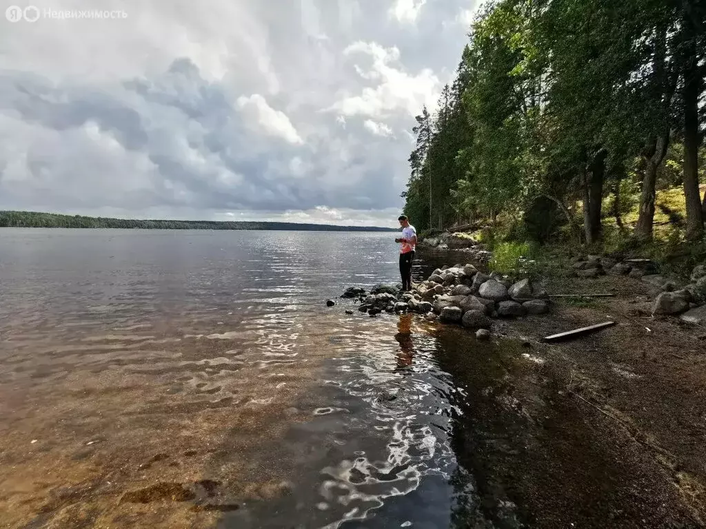 Участок в Выборгский район, Приморское городское поселение, посёлок ... - Фото 2