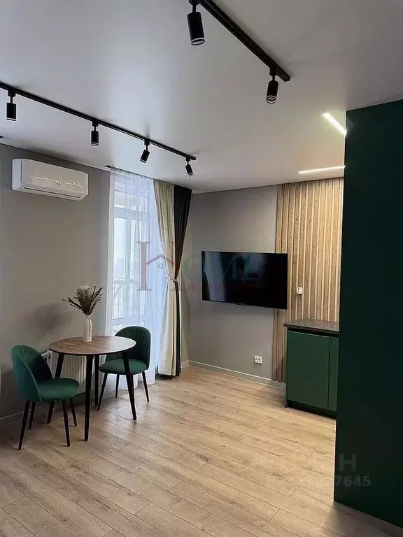 Студия Новосибирская область, Новосибирск ул. Гоголя, 222 (33.0 м) - Фото 2