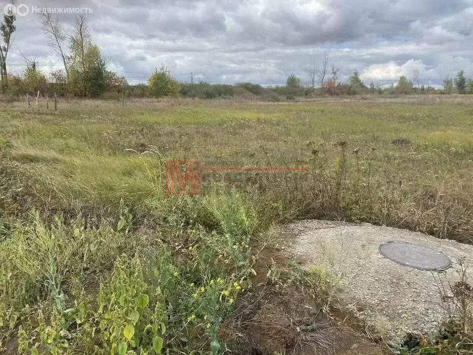 Участок в Старооскольский городской округ, село Новокладовое (15 м) - Фото 2