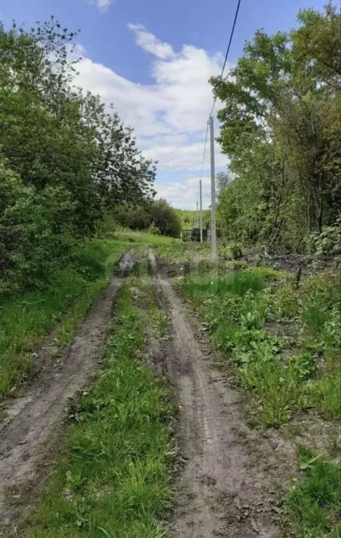 Участок в Мордовия, Лямбирский район, Пензятское с/пос, с. Тарасполь ... - Фото 2