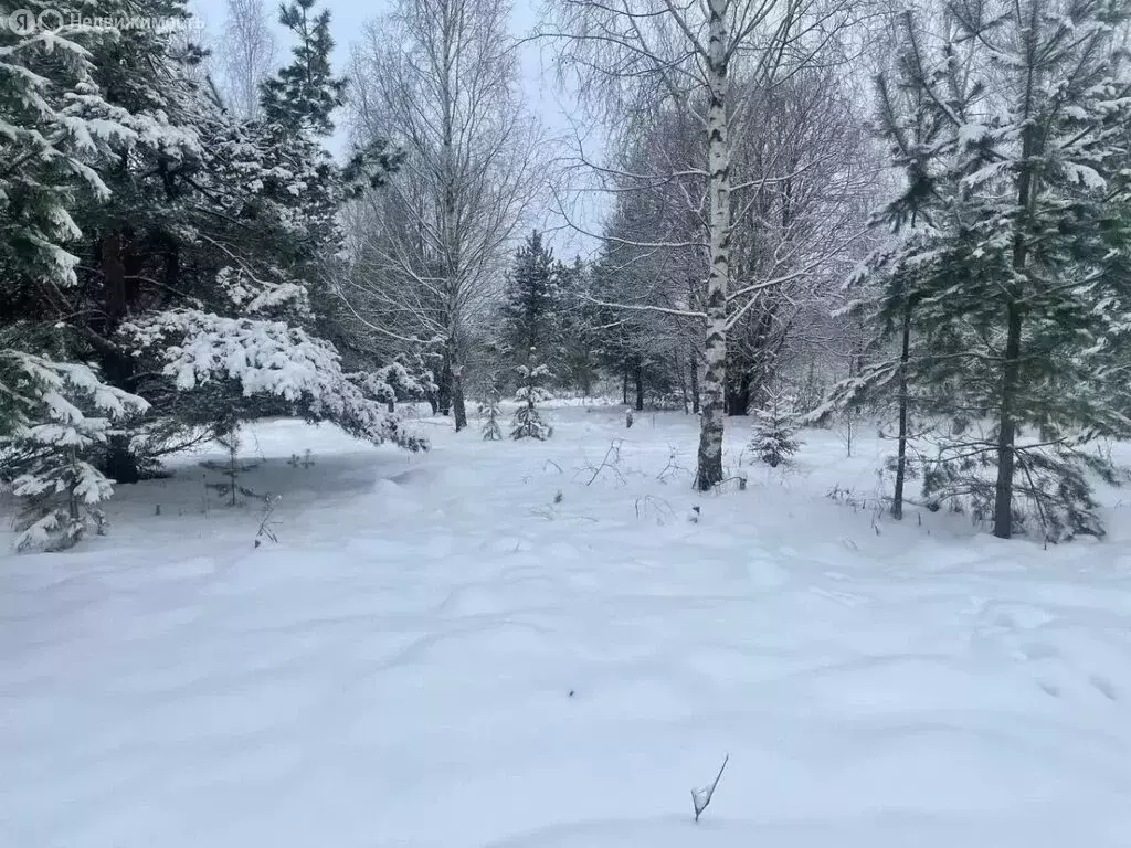 Участок в городской округ Нижний Новгород, деревня Кривая Шелокша (470 ... - Фото 2