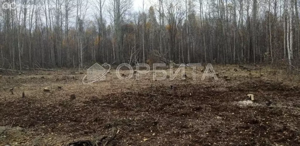 Участок в Нижнетавдинский район, садовое товарищество Душевное (10 м) - Фото 0
