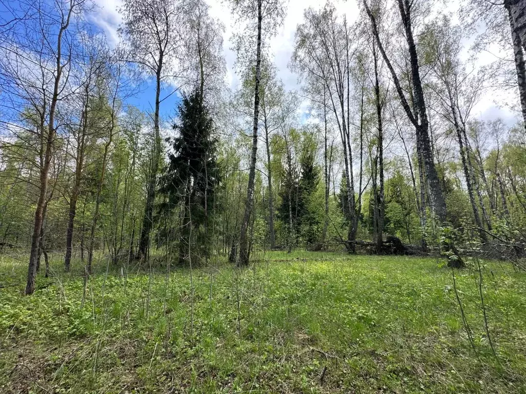 Участок в Московская область, Ступино городской округ, д. Торбеево ул. ... - Фото 1