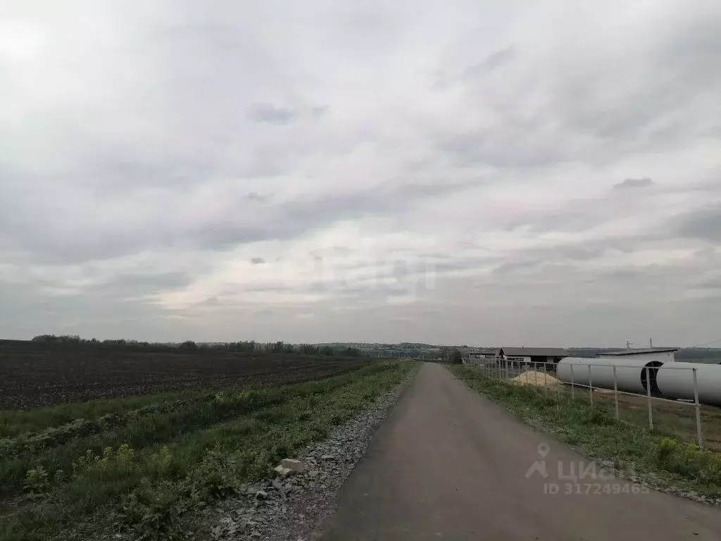 Участок в Белгородская область, Белгородский район, Головинское с/пос, ... - Фото 0