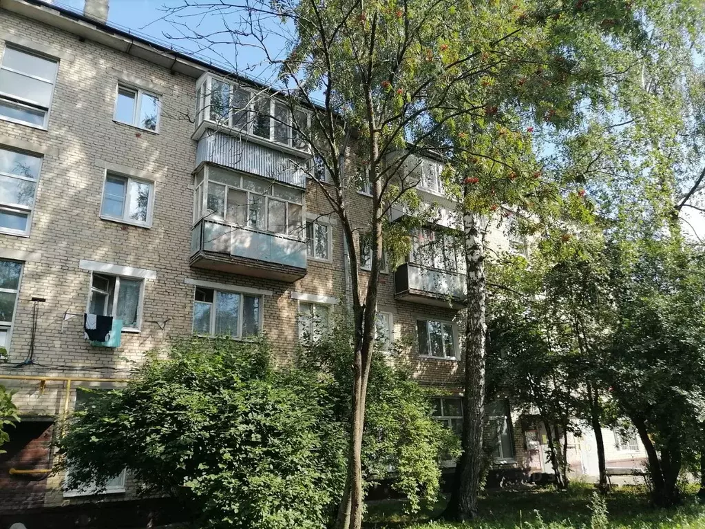 2-к кв. Московская область, Ногинск Богородский городской округ, ул. ... - Фото 1