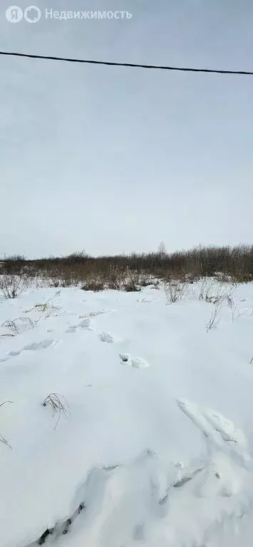 Участок в Ялуторовск, улица Артемьева, 60 (10 м) - Фото 2