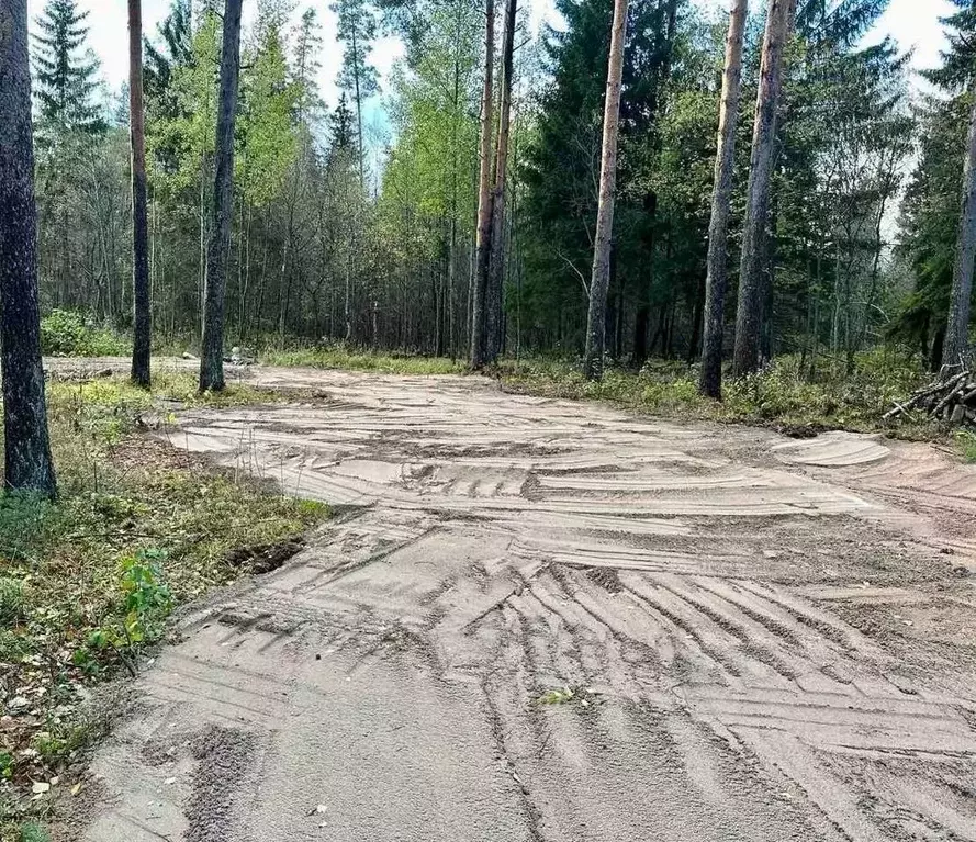 Участок в Ленинградская область, Выборгский район, Полянское с/пос, ... - Фото 0