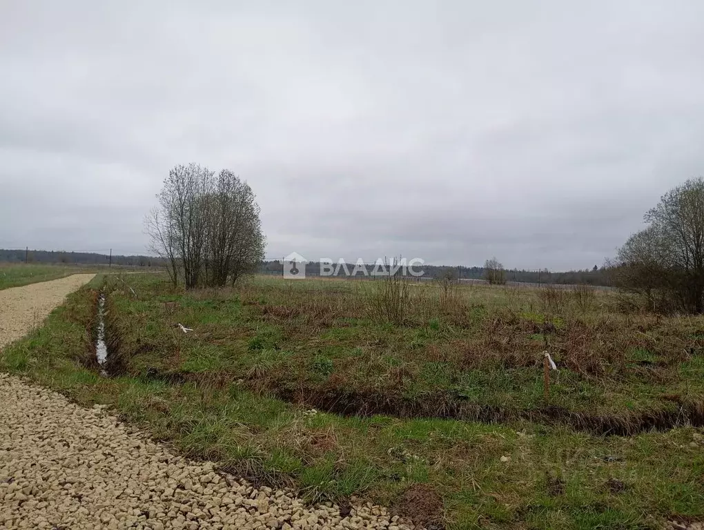 Участок в Ленинградская область, Гатчинский район, д. Пустошка ... - Фото 1