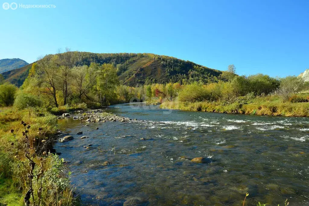 Участок в Солтонский район, село Берёзово (3500 м) - Фото 1