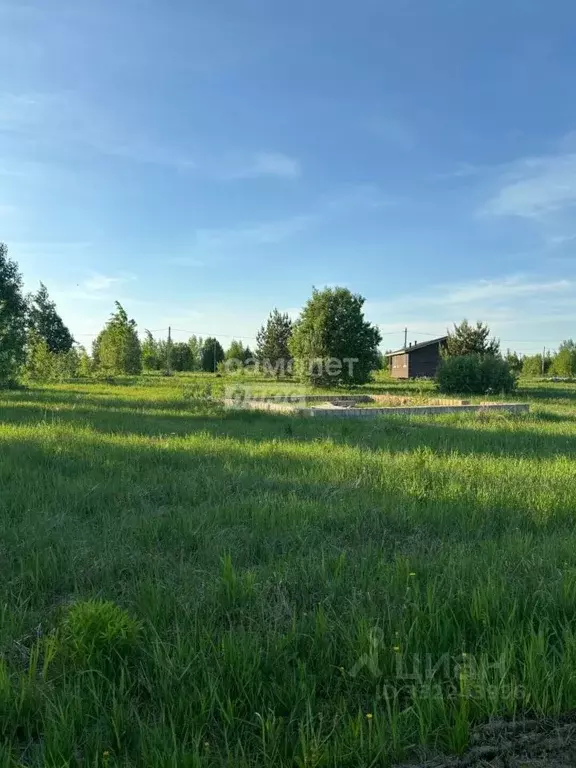 Участок в Марий Эл, Йошкар-Ола городской округ, д. Шоя-Кузнецово ... - Фото 2