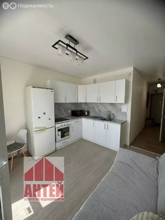 Квартира-студия: деревня Анкудиновка, Черкесская улица, 19 (26 м) - Фото 1