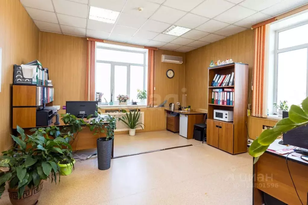 Офис в Амурская область, Благовещенск Первомайская ул., 1 (691 м) - Фото 1