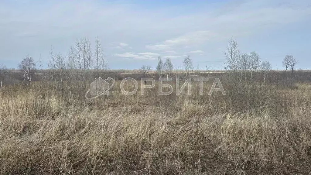 Участок в Тюменская область, Тюменский район, с. Чикча  (8.0 сот.) - Фото 1