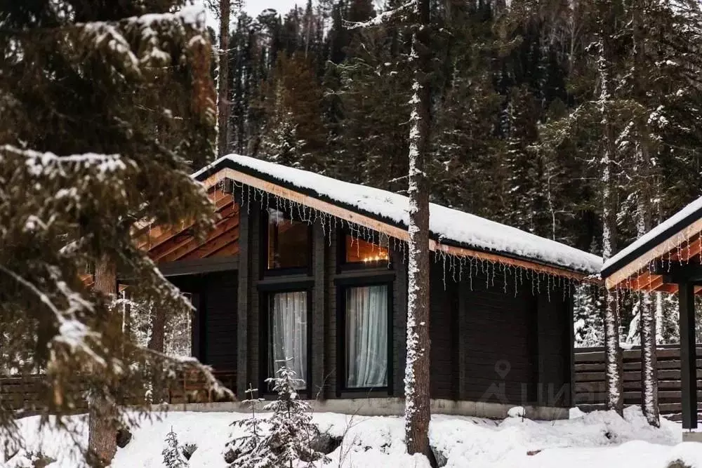 Дом в Алтай, Турочакский район, с. Артыбаш пер. Еловый, 11 (40 м) - Фото 1