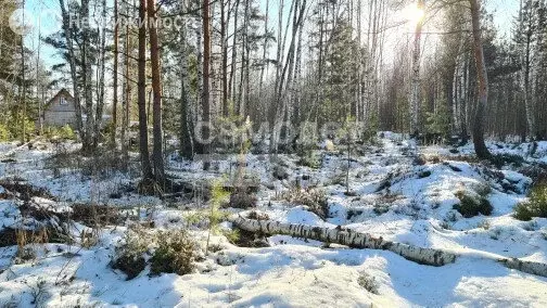 Участок в село Кудиново (18 м) - Фото 1