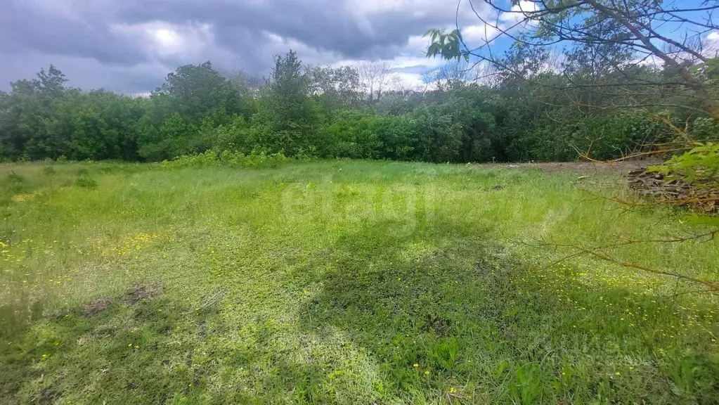 Участок в Белгородская область, Строитель Яковлевский городской округ, ... - Фото 2
