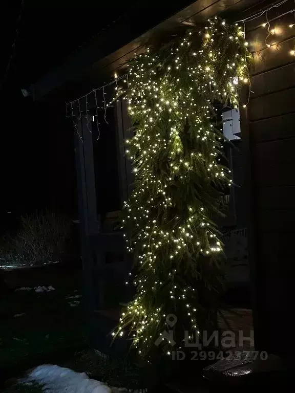 Дом в Тверская область, Торопецкий муниципальный округ, Дубки СТ 32 ... - Фото 2