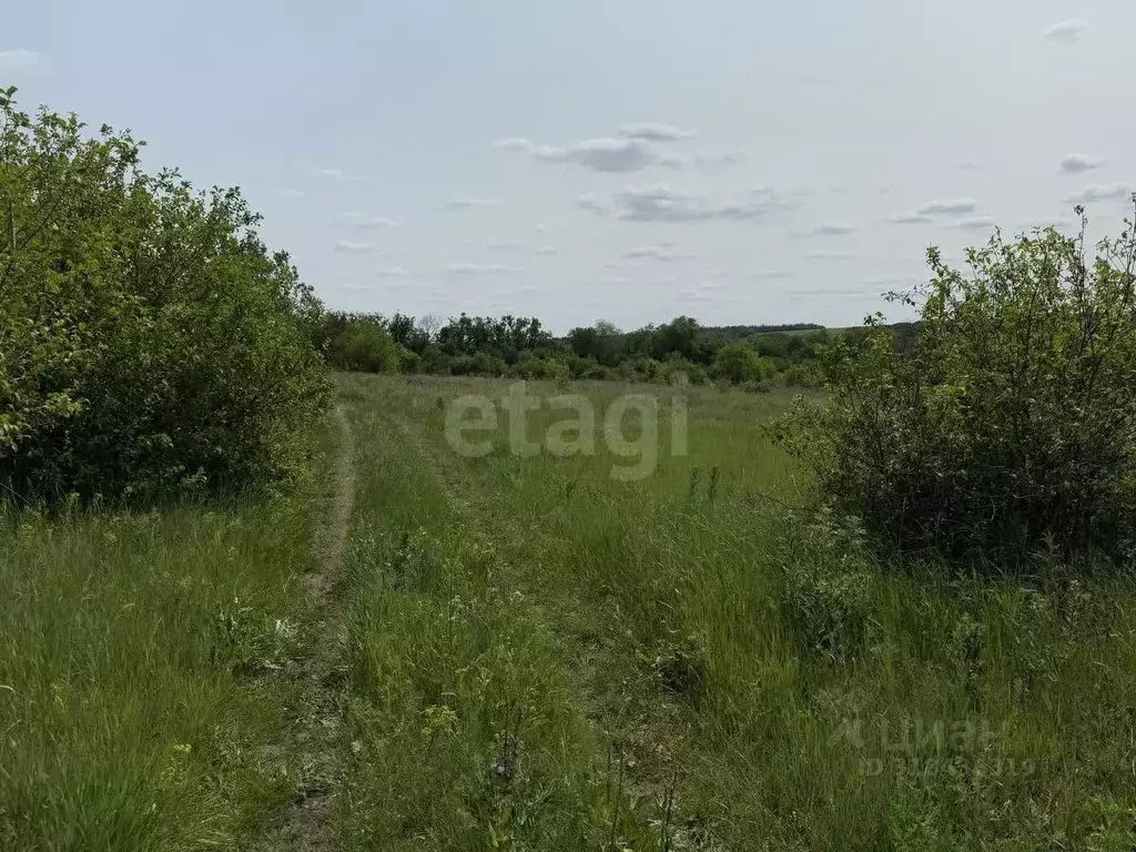 Участок в Белгородская область, Белгородский район, Никольское с/пос, ... - Фото 1
