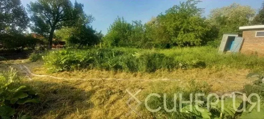 Участок в Ростовская область, Азовский район, Елизаветинское с/пос, ... - Фото 0